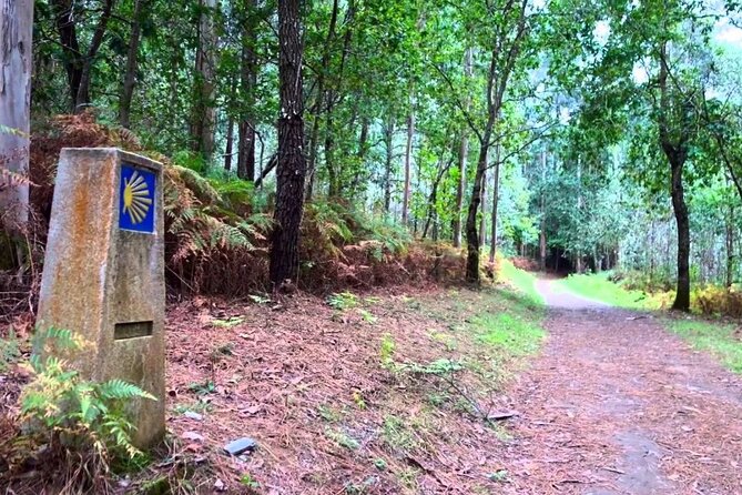 Walk The Camino&Santiago de Compostela Private SHORE Tour - What the private format is worth