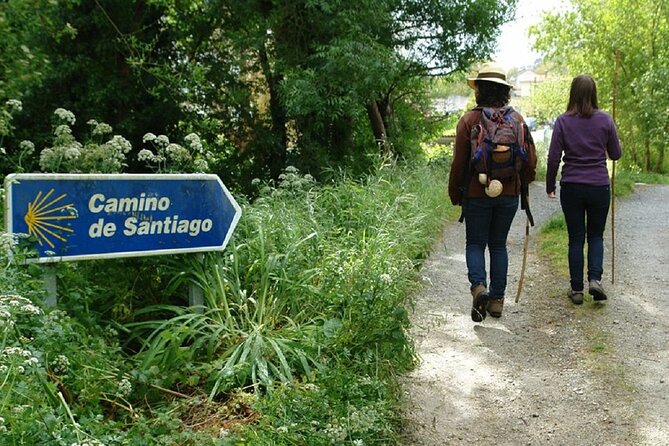 Walk The Camino&Santiago de Compostela Private SHORE Tour - Timing, pickup, and practical planning