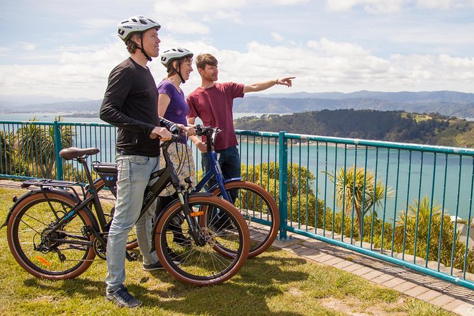 Wellington Guided eBike Tour-Cruise Shore Excursion - Getting comfortable before the streets