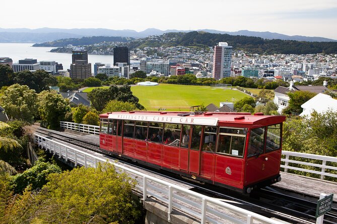 Wellington Shore Excursion City Sightseeing Tour - Quick points to know
