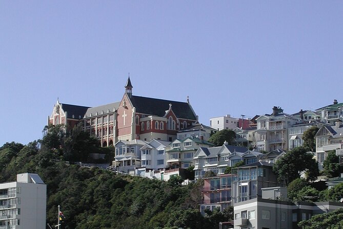 Wellington Shore Excursion City Sightseeing Tour - Mount Victoria delivers the best photograph