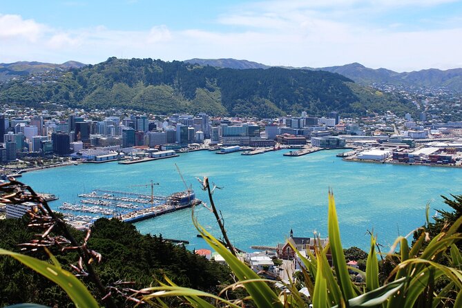 Wellington Shore Excursion City Sightseeing Tour - What the three-hour schedule really means