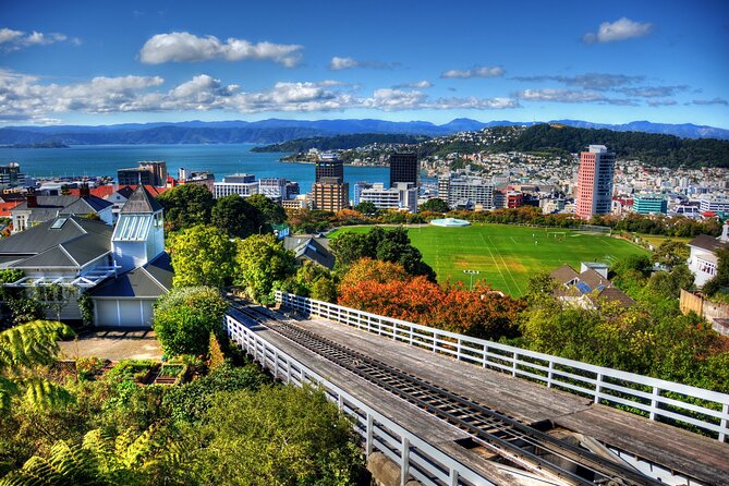 Wellington Shore Excursion City Sightseeing Tour - Is the $96.19 price fair?