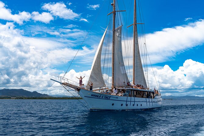 Whale's Tale Day Cruise from Port Denarau - Setting sail from Port Denarau at 10 a.m.