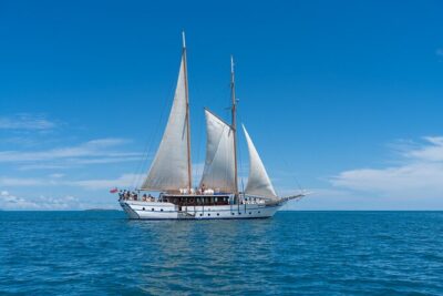 Whale’s Tale Day Cruise from Port Denarau