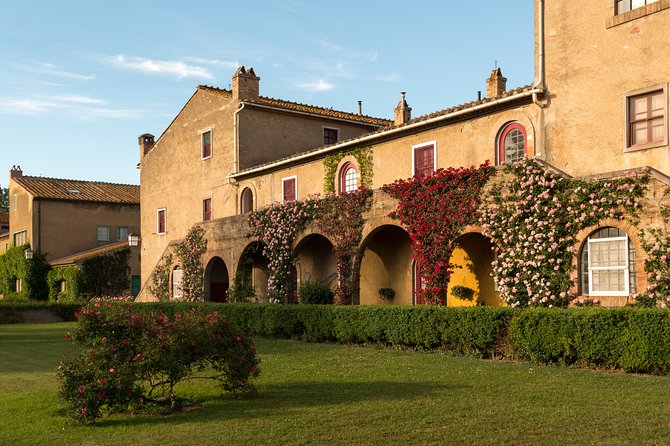 Wine Tour Bolgheri Half day Shore Excursion from Piombino Port - Why Bolgheri works so well from Piombino
