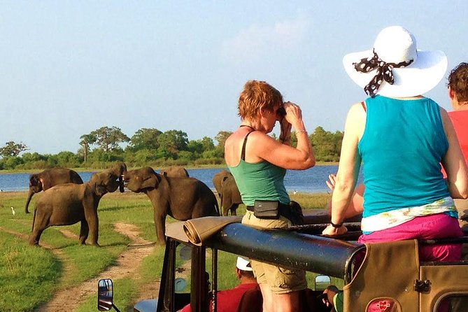 Yala Safari Tour from Hambantota Port (Shore Excursion) - Leaving Hambantota Port and reaching the park