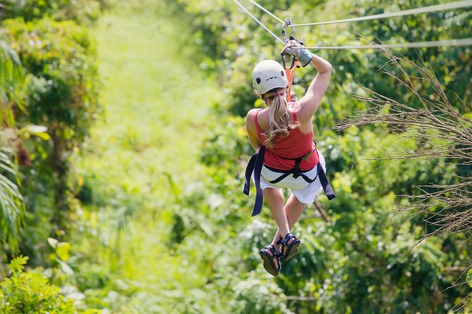 Zipline Canopy Tour & Tortuguero Canal Boat tour. Shore Excursion from Limon - Key points to know before booking